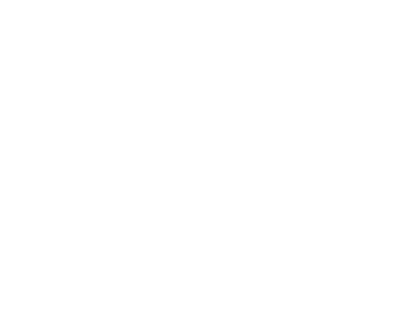 big logo